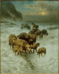 Heimkehr der Schafherde